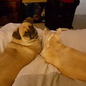 Meet your Posher, Cindy